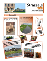 Strazeele info 15